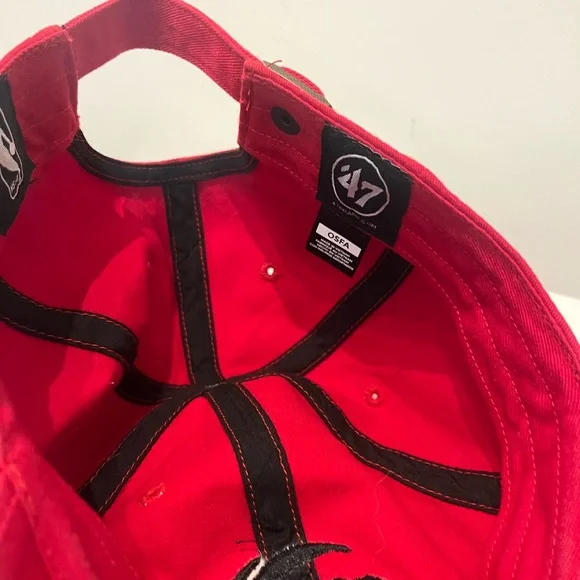 Toronto Raptors Red and Black Dad - Picture 2 of 3